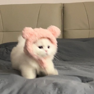 七七的朋友圈