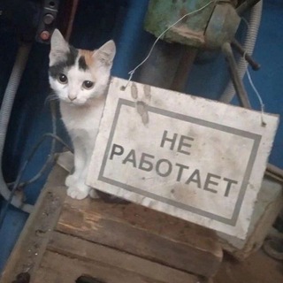 kreva -..zZ