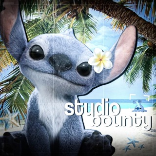 studio bounty