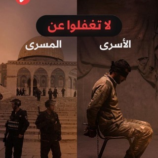 خالد حمدي