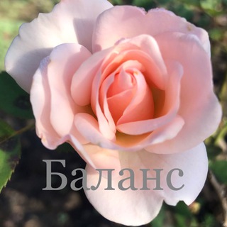 Баланс🎼 Дистанционное лечение.