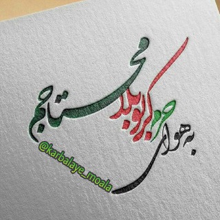 دلتنگ کربلا🕊