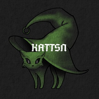 kattsn и её котикu