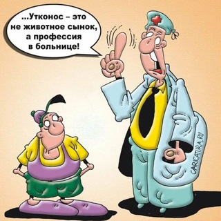 ЮМОР ОТОВСЮДУ И НЕМНОГО ЕДЫ