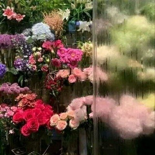 منشورات كرائحة الورد المتنوعه🌸