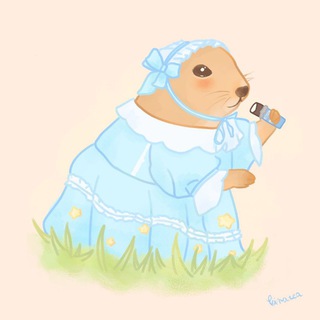 Будни сурка