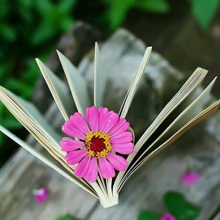 🔍 صــورة وكـتــابـة ✍