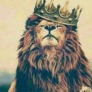 مشاركات ومعلومات قيمه