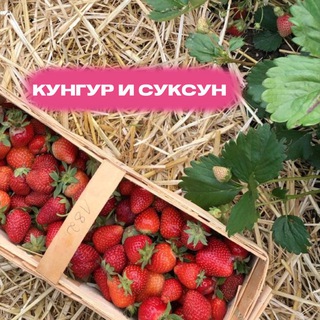 Аватар канала Клубника Суксун @klubnikasuskun