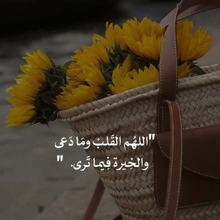 کَ نِقْاء ألیاسْمین🤍