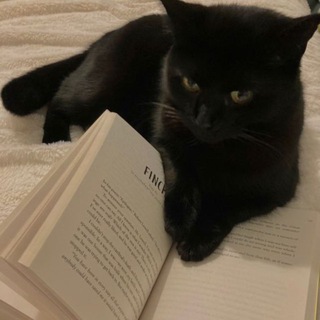 книжные радикал очки