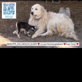 Kolloide & Frequenzen für Tiere ❤️