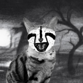 кошька