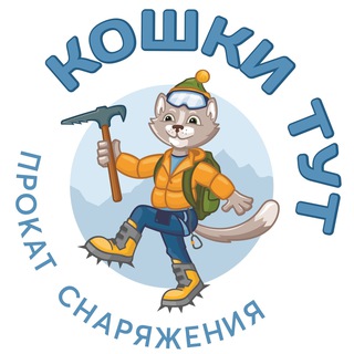 Прокат “Кошки тут” Эльбрус😺😺