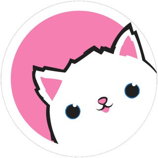 кот и шмот