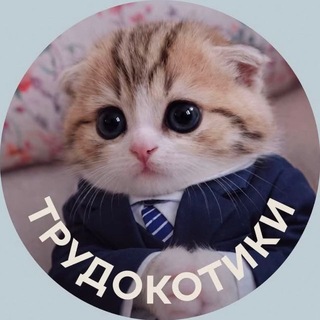 Кот по найму