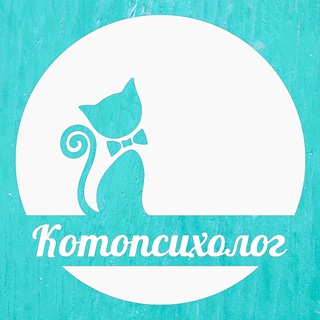 Котопсихолог 🐈