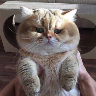 Сладкая булочка