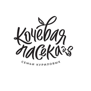 💛Кочевая пасека "Куриловых"| мёд и заботливые подарки