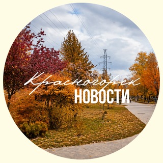 КРАСНОГОРСК.НОВОСТИ