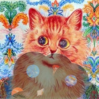 krautcat | musique