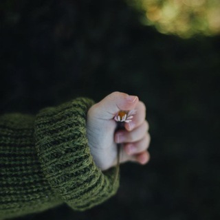 رش̲ꪾـﮧة ح̲ꪳـﮧنٰ̲̐ـﮧيـِٰ̲ﮧة💚🍃🎼 .