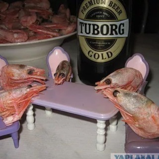 Креветки с чувством юмора🦐