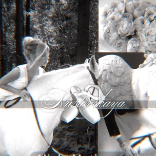 ❯̸❯𝐊̏𝐑͢𝐄̷̚𝐒̷̸𝐎̸𝐓̵𝐕̸͟𝐒̷̸𝐊̏𝐀̸̸͎𝐘̸̤̀𝐀̸̸͎ ➷ྀི