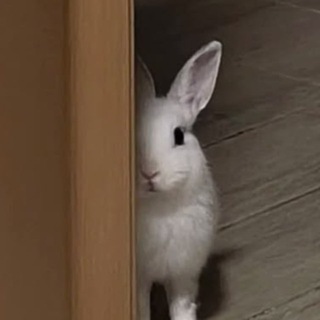 Йцукен✧*