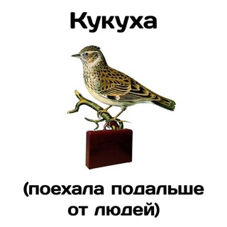 ПсихоСпецы и консультанты