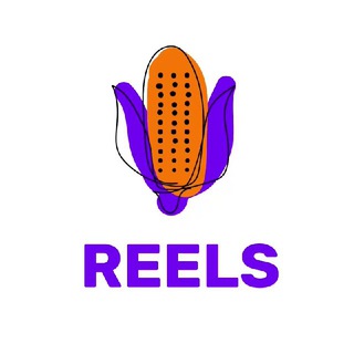 качан ідей reels pro 😎