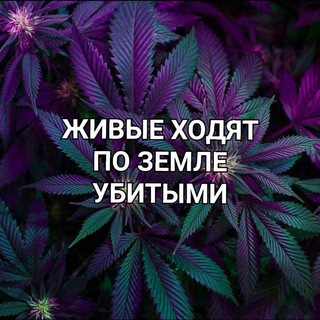ПЕРЕХОДНИК КУРИЛКИ ОРЕНБУРГ - ОРСК✌️