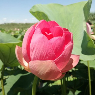 Кундалини йога с Евгенией Чумаковой