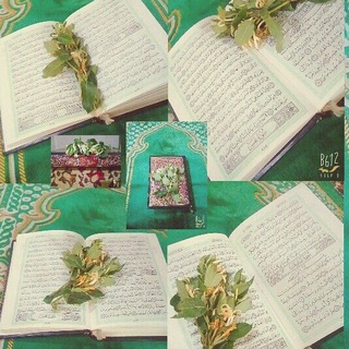 ‏ولعلّ مُرّكَ يحلو في تقلُّبه💚