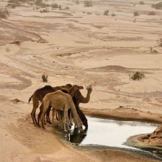 ᷂ثواب