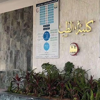 Lamees Abd Naser 🩺🤍