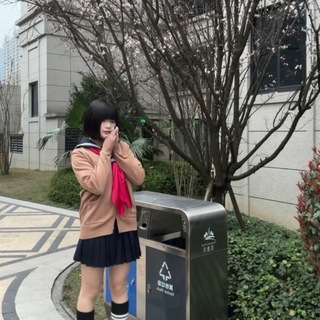 上海懒羊羊打工日记