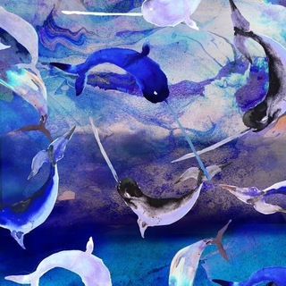 Narwhal