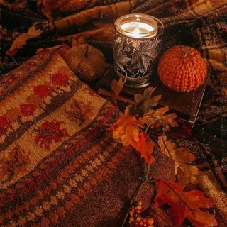 Логово мандаринок 🍊🍂