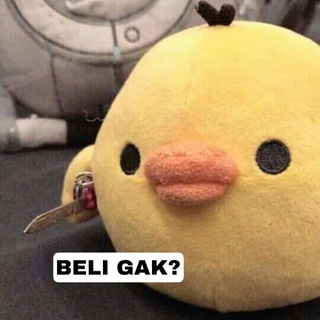 LEGAL