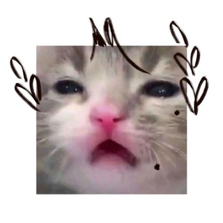 \_Lenь_/