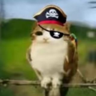Участок лёвкис 🪻