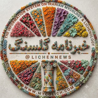 خبرنامه گلسنگ