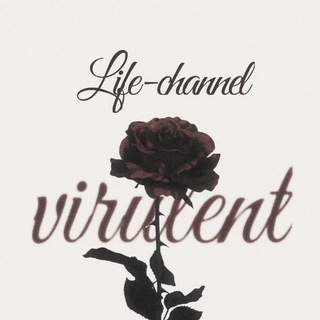 ㅤㅤ🌹 𝓥𝗜𝙍𝙐𝙇𝗘𝗡𝗧 — 𝓛𝗜𝗙𝗘〢