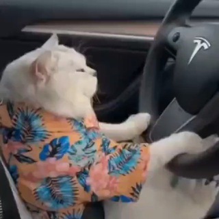 Все про автомобили 🚔😅
