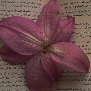 ᷂علىٰ ᷂شُرفة ᷂المحبة