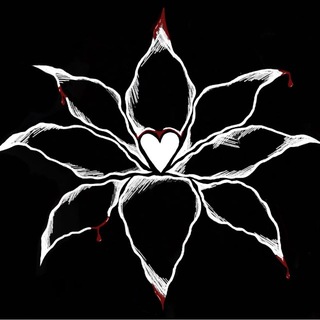 Lily 4ever