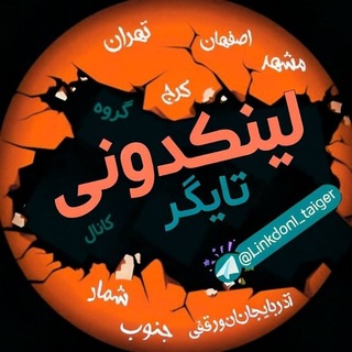 لینکدونی تایگر linkdoni I