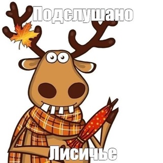 Подслушано. Лисичье