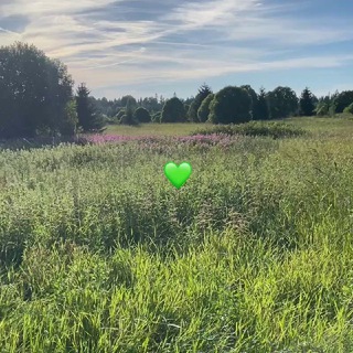 Агроусадьба Лисья Дача 🦊